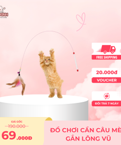 Đồ chơi cần câu mèo gắn lông vũ
