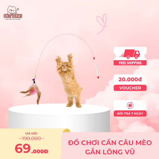 Đồ chơi cần câu mèo gắn lông vũ