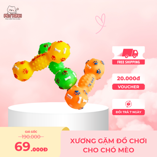 Xương gặm đồ chơi cho chó mèo