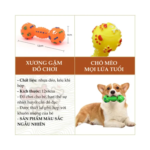 Xương gặm đồ chơi cho chó mèo - Ảnh 3