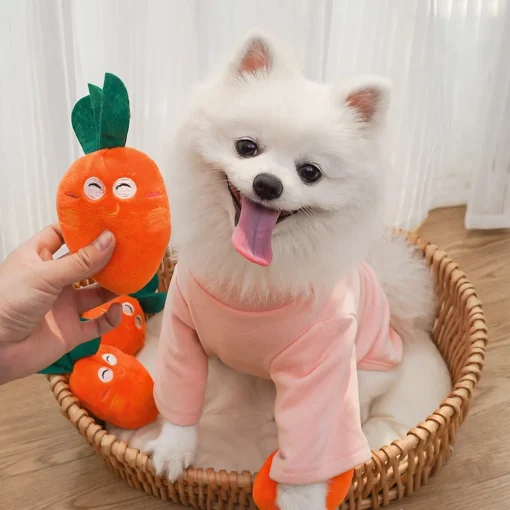 Đồ chơi cho chó gặm hình thú nhồi bông đáng yêu - Ảnh 8