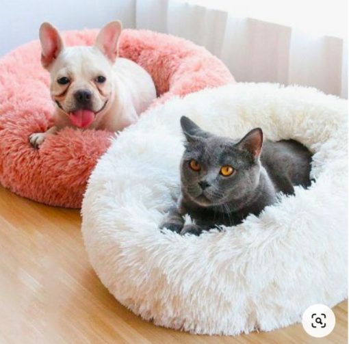 Giường ngủ cho thú cưng  – Thiết kế mềm mại, tiện nghi và an toàn - Ảnh 4