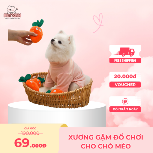 Đồ chơi cho chó gặm hình thú nhồi bông đáng yêu