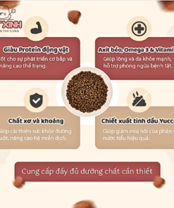 Viên Sữa Chua Yogurt Hỗ Trợ Tiêu Hoá KitCat Freeze Dried Yogurt Yums (1)