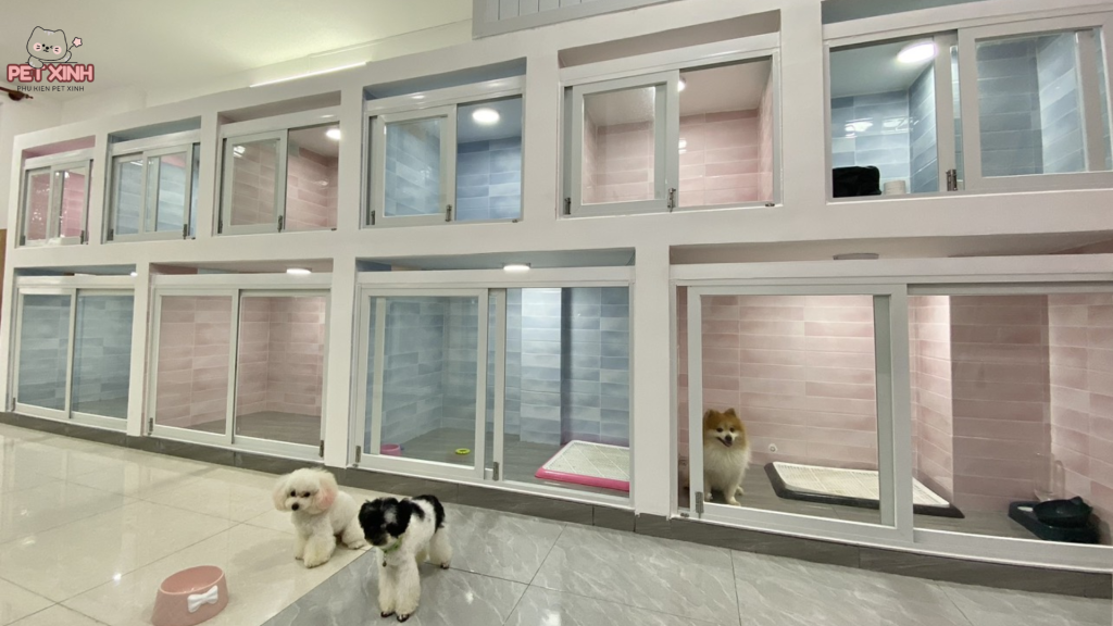Thế giới thú cưng