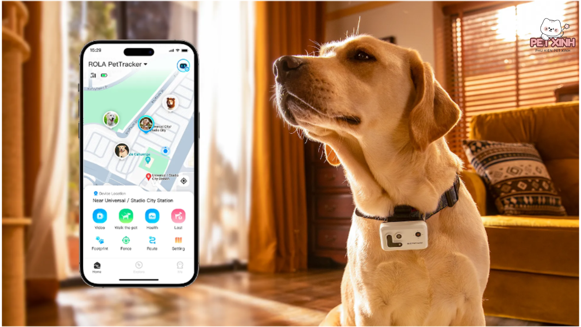 chip định vị thú cưng