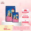 Thức ăn cho chó con SmartHeart Puppy tăng cường sự phát triển trí não nhờ được bổ xung DHA và Colinnn