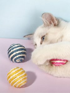 Đồ Chơi Pet Tự Làm Tại Nhà
