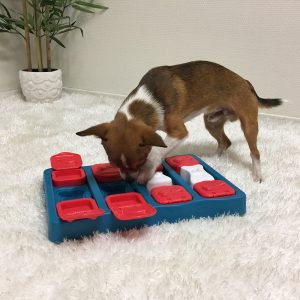 Đồ Chơi Puzzle Đồ Ăn Cho Chó