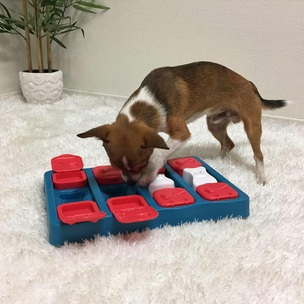 Đồ Chơi Puzzle Đồ Ăn Cho Chó