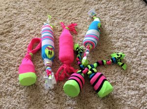 Đồ Chơi Pet Tự Làm Tại Nhà