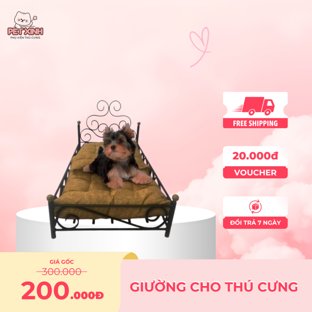 giường cho thú cưng