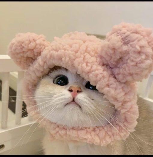 Mũ cực xinh và đáng yêu cho hoàng thượng - Ảnh 2