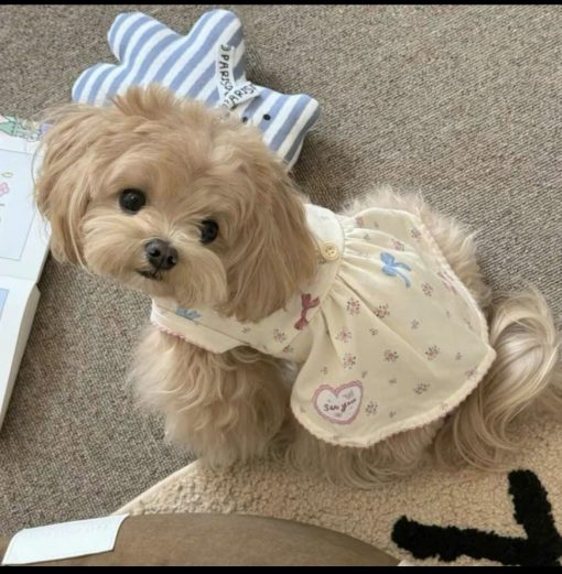 Váy Xinh Cho Chó – Biến Boss Thành Nàng Công Chúa Đáng Yêu! - Ảnh 4